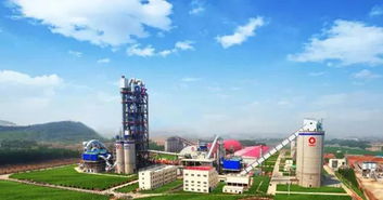 宋志平 占领制高点