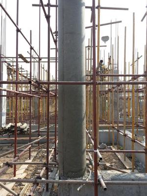 【强力推荐】临沂信誉好的建筑圆模板厂家:南平木质圆模板图片|【强力推荐】临沂信誉好的建筑圆模板厂家:南平木质圆模板产品图片由山东鲁森建材公司生产提供-