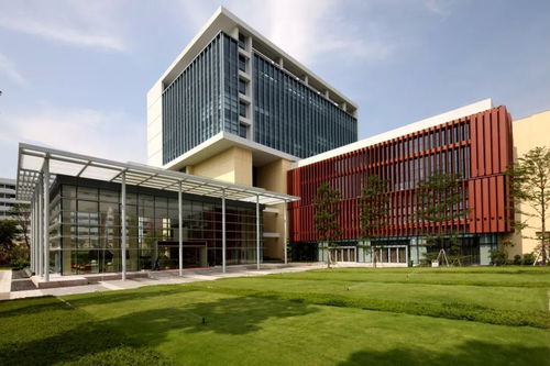 软装陈设艺术精华班开课 双十一特价开启设计之旅